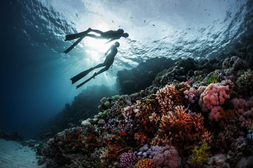 Rotes Meer, Ägypten Schnorcheln Shutterstock 393581233