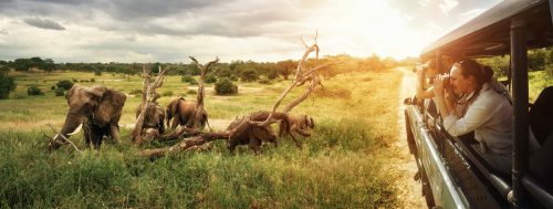 Safari Tour Sri Lanka Shutterstock 1629582418 1